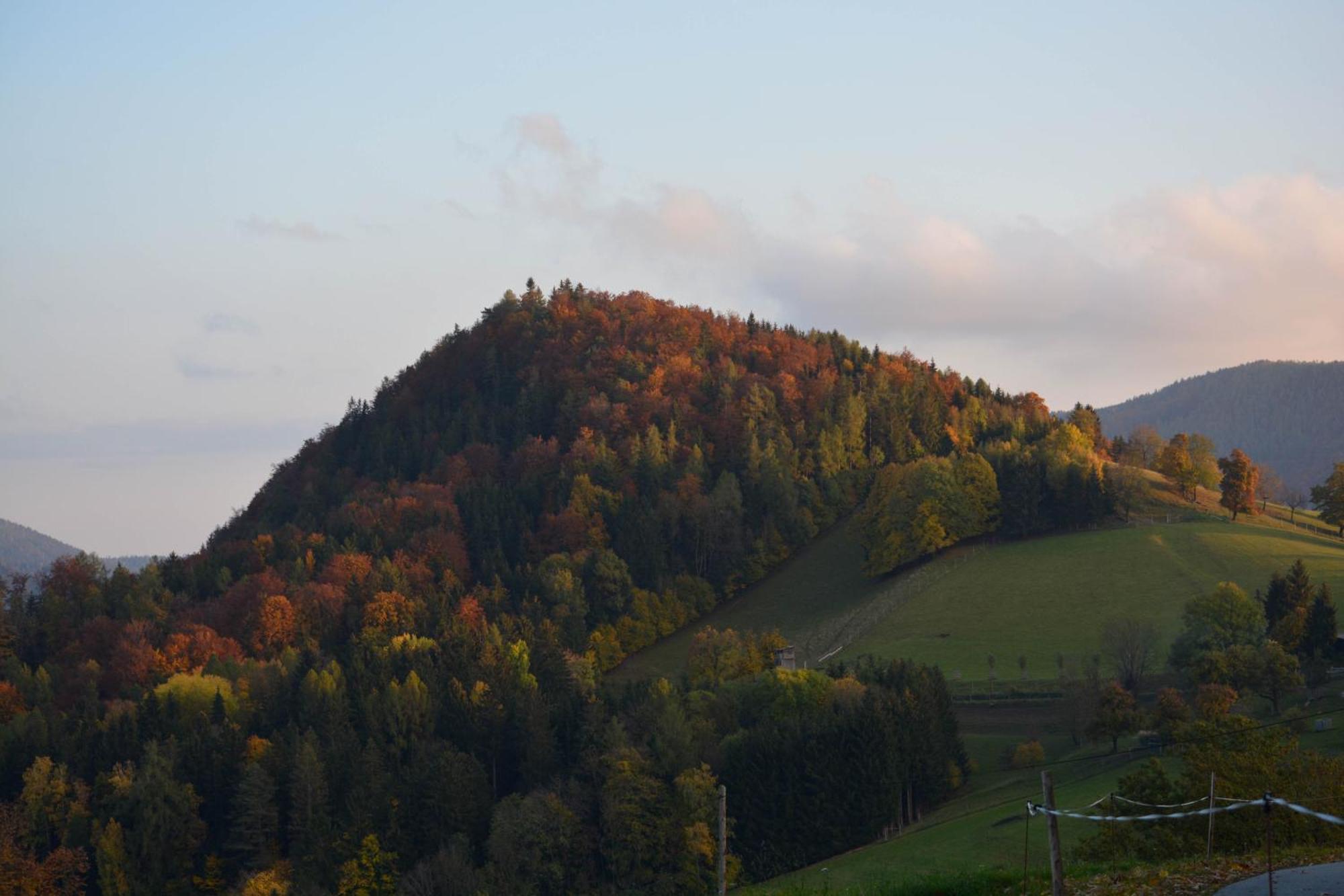 Ferienhaus Reisinger Promschhof Semriach 외부 사진