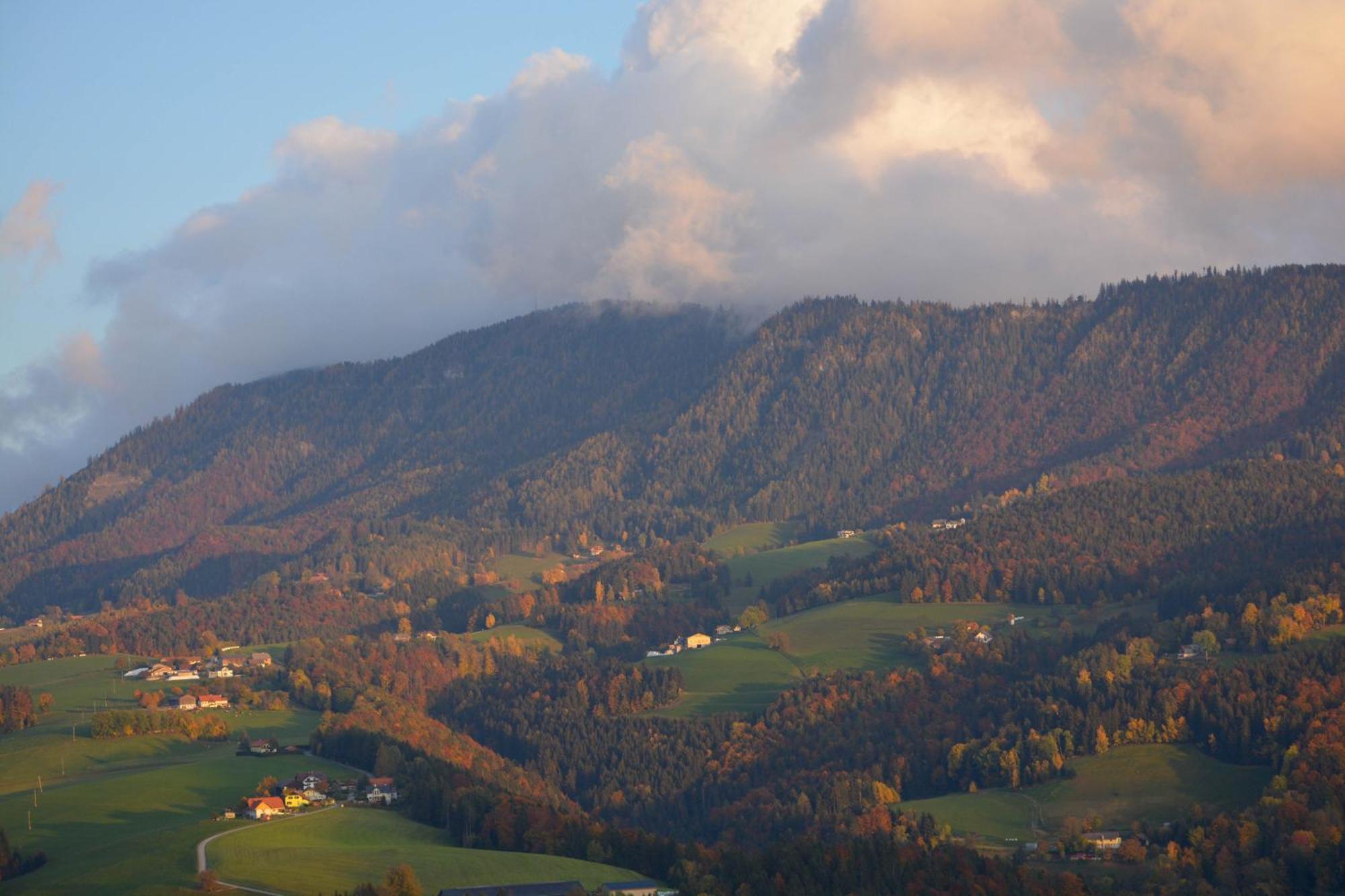 Ferienhaus Reisinger Promschhof Semriach 외부 사진
